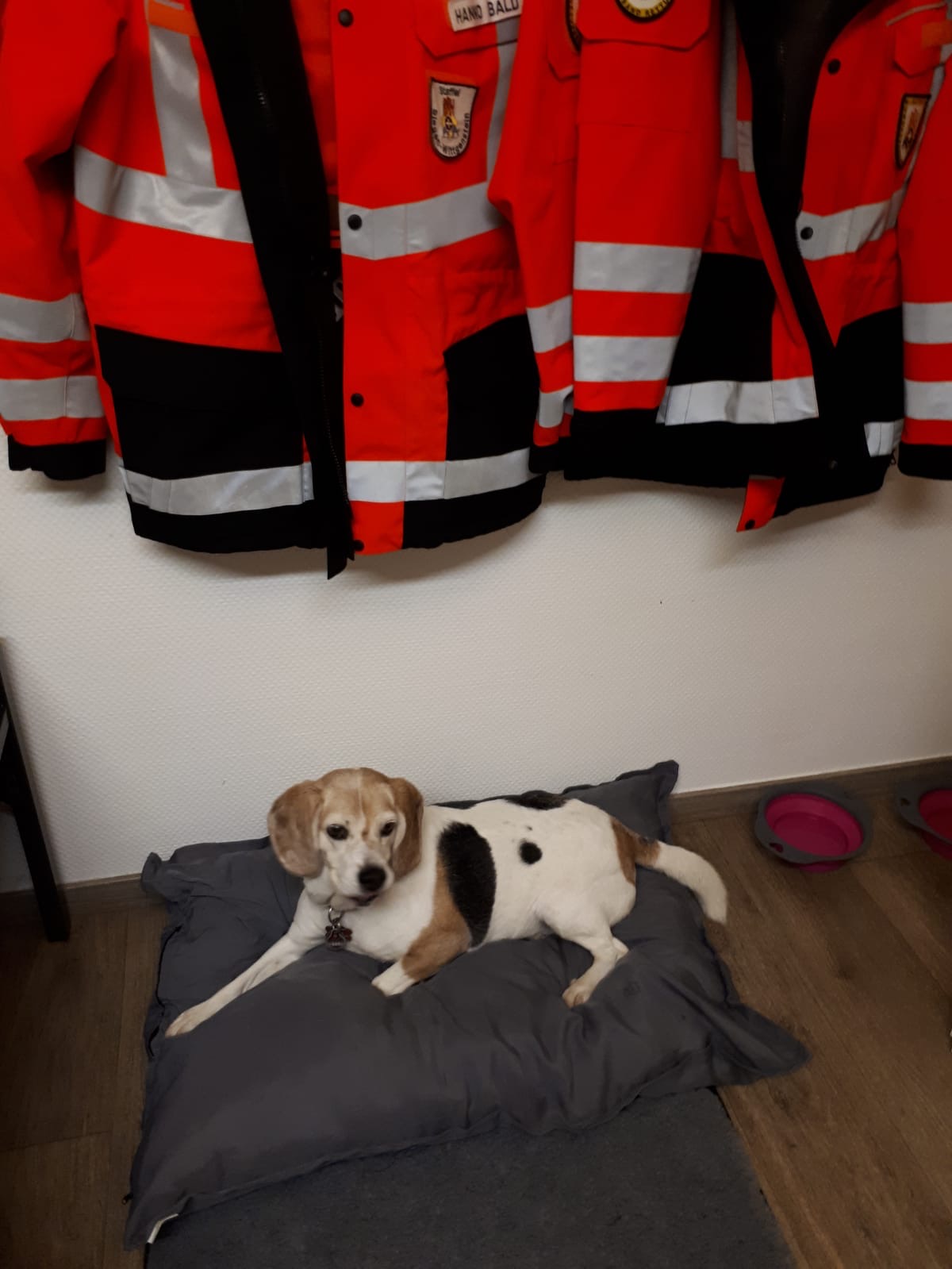 13406c27-2760-4f2b-8200-bb665d953f0b